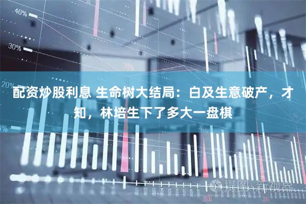 配资炒股利息 生命树大结局：白及生意破产，才知，林培生下了多大一盘棋